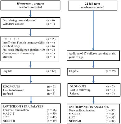 Extremely preterm children and relationships of minor neurodevelopmental impairments at 6 years